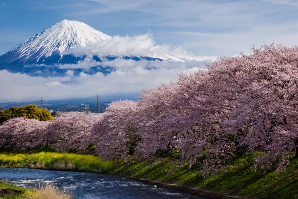 Tourism Shizuoka Japan