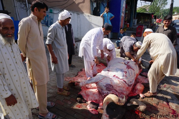 Opferfest in Pakistan
