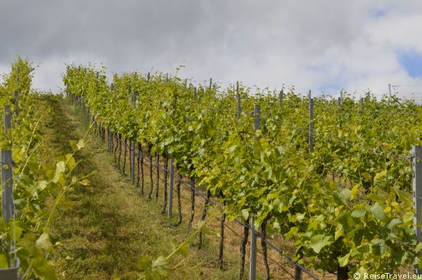 Weingut Benz Liebliches Taubertal