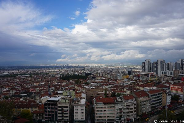 Bursa
