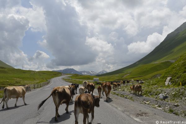 Georgien by ReiseTravel.eu 