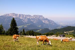 Kehlsteinhaus ReiseTravel.eu