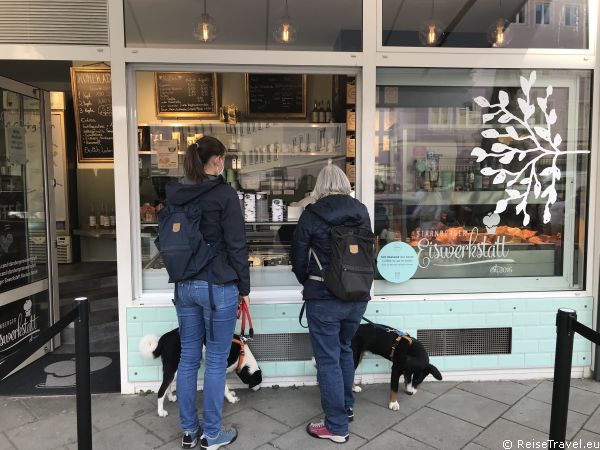 Gabis Tagebuch Selbstgemachtes Eis