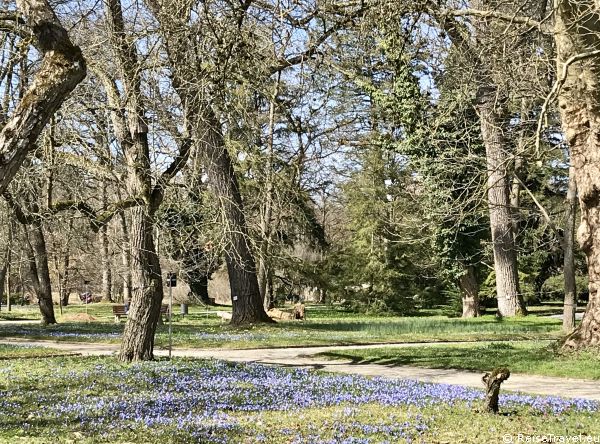 Gabis Tagebuch Botanischer Garten 
