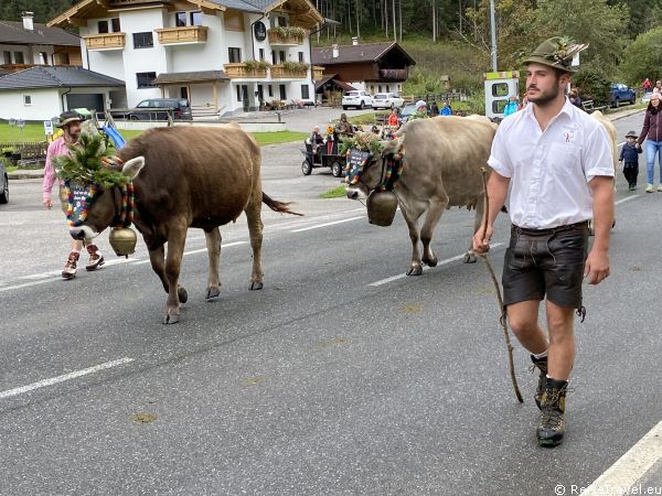 Almabtrieb in Neustift im Stubaital 