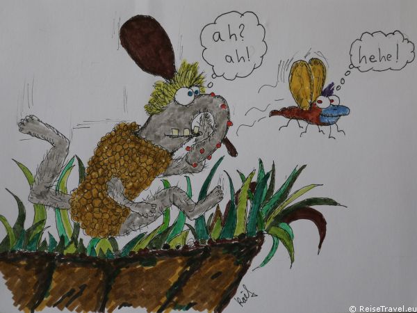 Kaef Comics Familie Hase im Stubaital by ReiseTravel.eu