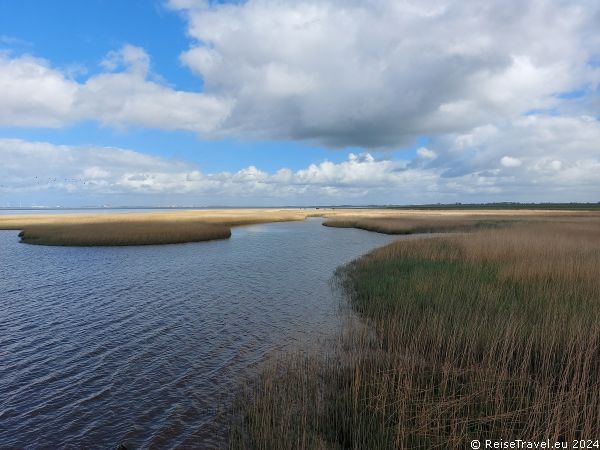 Wattenmeer bei Kiekkaaste