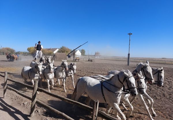 Peitschenknallen in der Puszta