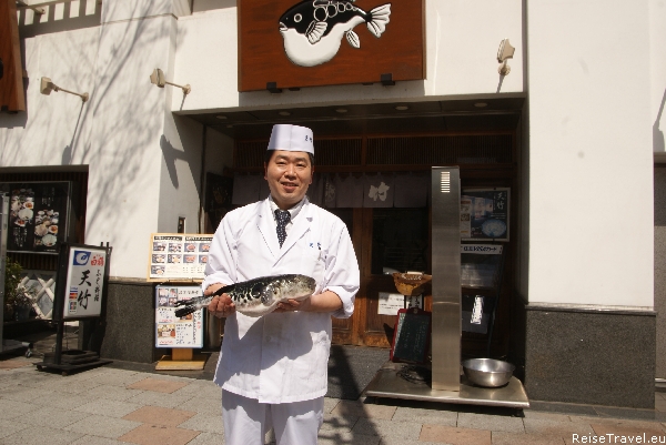 Kugelfisch Fugu Japan