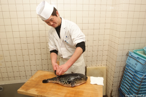 Kugelfisch Fugu Zubereitung