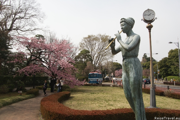Tokio Kirschbl&amp;uuml;te